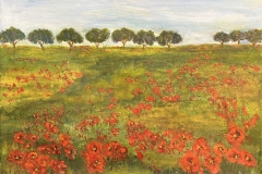 Nancy-Lanzel-Tuscan-Poppies-Landscape_Interior-Acrylic-250