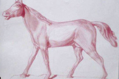 horse2