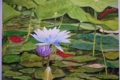 Wendy Kovacs  Lily-Pond SOLD