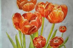 Wendy Kovacs  Orange-Tulips