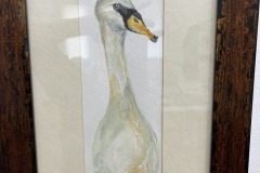 Swantitle-Just-Ducky-Donna-Bruton-IMG_4540